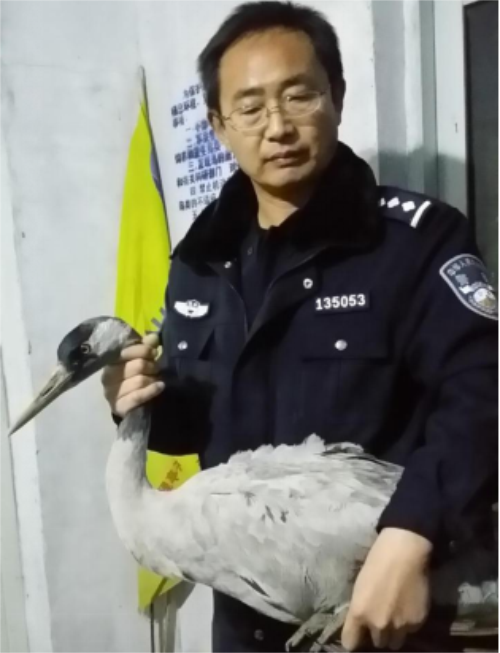 �ƶ����Ź���,����Ұ������׷��,��������׷����,����׷����