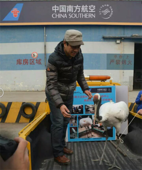 云顶集团官网,湖南野生动物追踪,湖南卫星追踪器,湖南追踪器 云顶集团官网,湖南野生动物追踪,湖南卫星追踪器,湖南追踪器