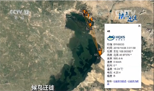 云顶集团官网,湖南野生动物追踪,湖南卫星追踪器,湖南追踪器 云顶集团官网,湖南野生动物追踪,湖南卫星追踪器,湖南追踪器