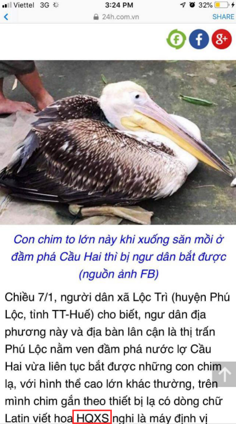 �ƶ����Ź���,����Ұ������׷��,��������׷����,����׷����