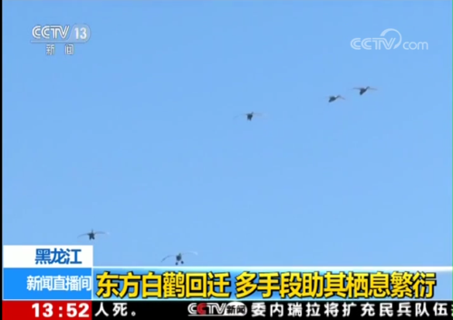�ƶ����Ź���,����Ұ������׷��,��������׷����,����׷����