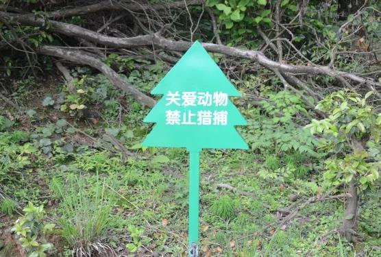 攸县兴林油茶,油茶苗,油茶果,轻基质杯苗,裸根苗,油茶苗价钱,油茶苗批发,油茶苗基地 攸县兴林油茶,油茶苗,油茶果,轻基质杯苗,裸根苗,油茶苗价钱,油茶苗批发,油茶苗基地