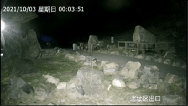 云顶集团官网,湖南野生动物追踪,湖南卫星追踪器,湖南追踪器 云顶集团官网,湖南野生动物追踪,湖南卫星追踪器,湖南追踪器