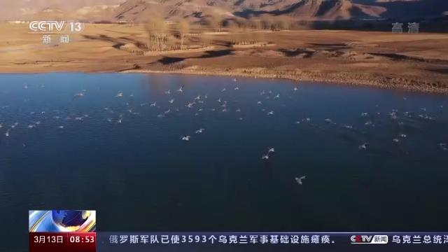 �ƶ����Ź���,����Ұ������׷��,��������׷����,����׷����