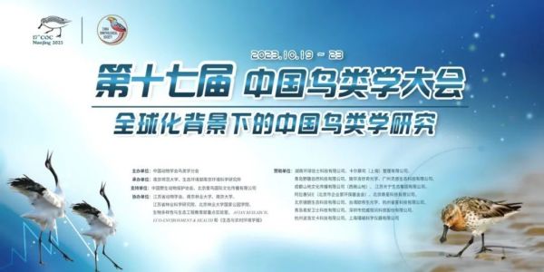 �ƶ����Ź���,����Ұ������׷��,��������׷����,����׷����