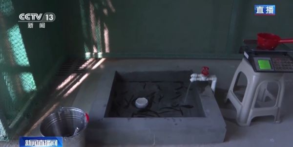 �ƶ����Ź���,����Ұ������׷��,��������׷����,����׷����