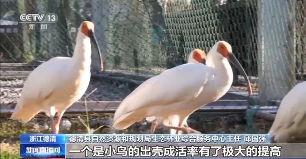 �ƶ����Ź���,����Ұ������׷��,��������׷����,����׷����