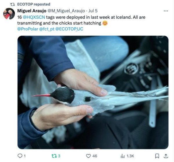 �ƶ����Ź���,����Ұ������׷��,��������׷����,����׷����