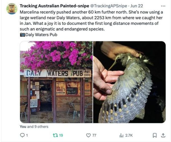 �ƶ����Ź���,����Ұ������׷��,��������׷����,����׷����