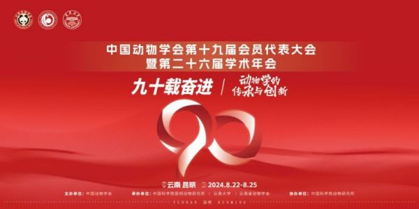 �ƶ����Ź���,����Ұ������׷��,��������׷����,����׷����