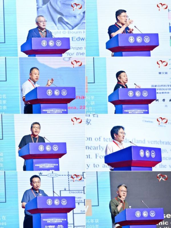 �ƶ����Ź���,����Ұ������׷��,��������׷����,����׷����